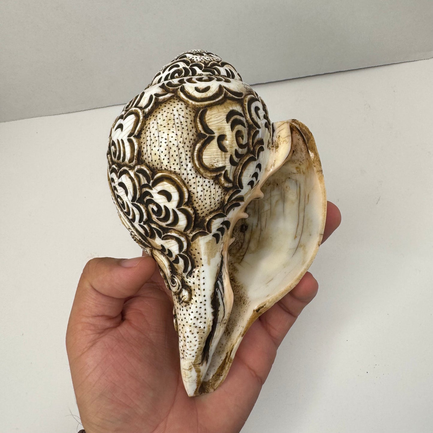 Hand-Carved Sacred Conch Shells with Hindu Deity Designs – Ganesha, Shiva, and Buddha