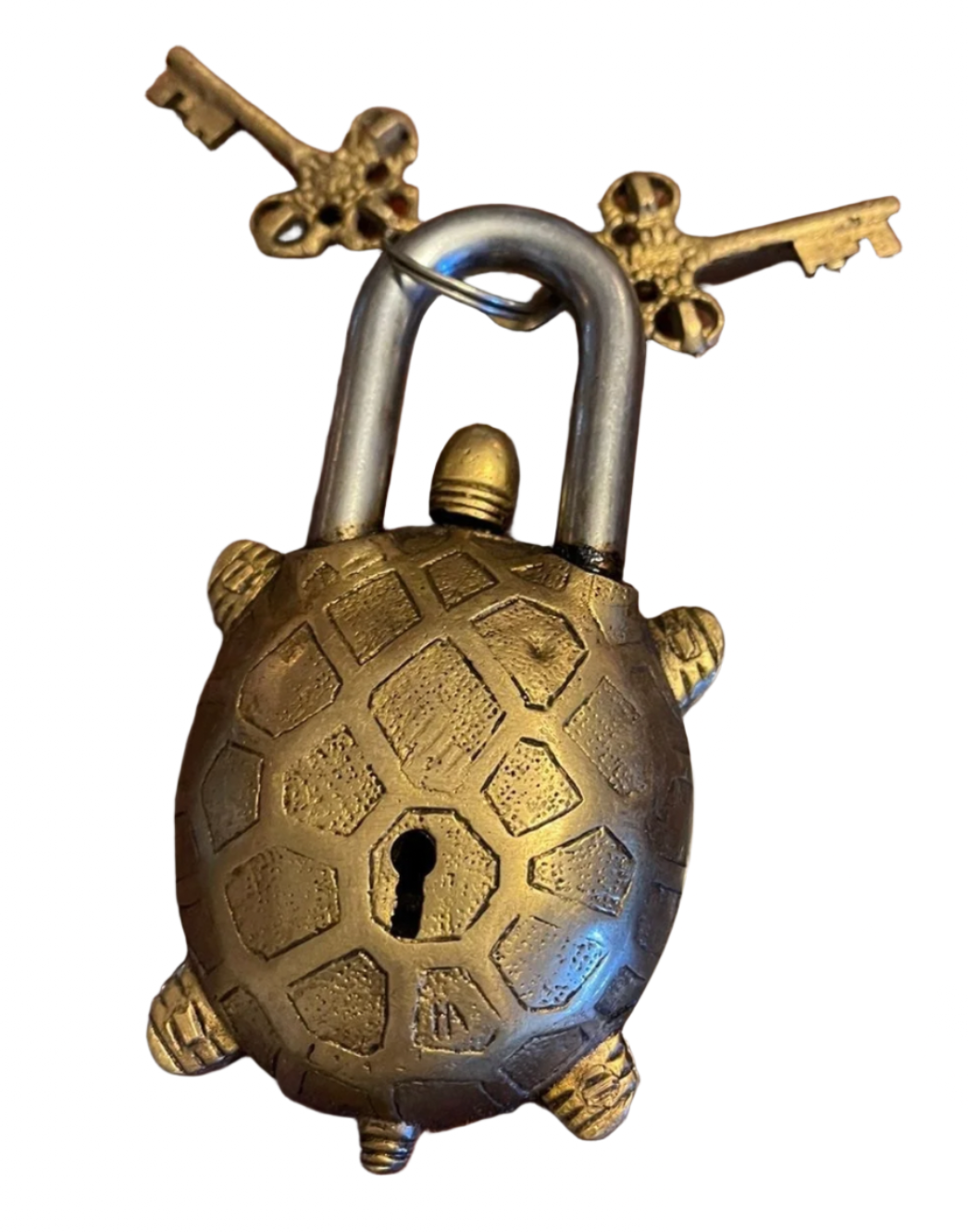 Brass turtle padlocks