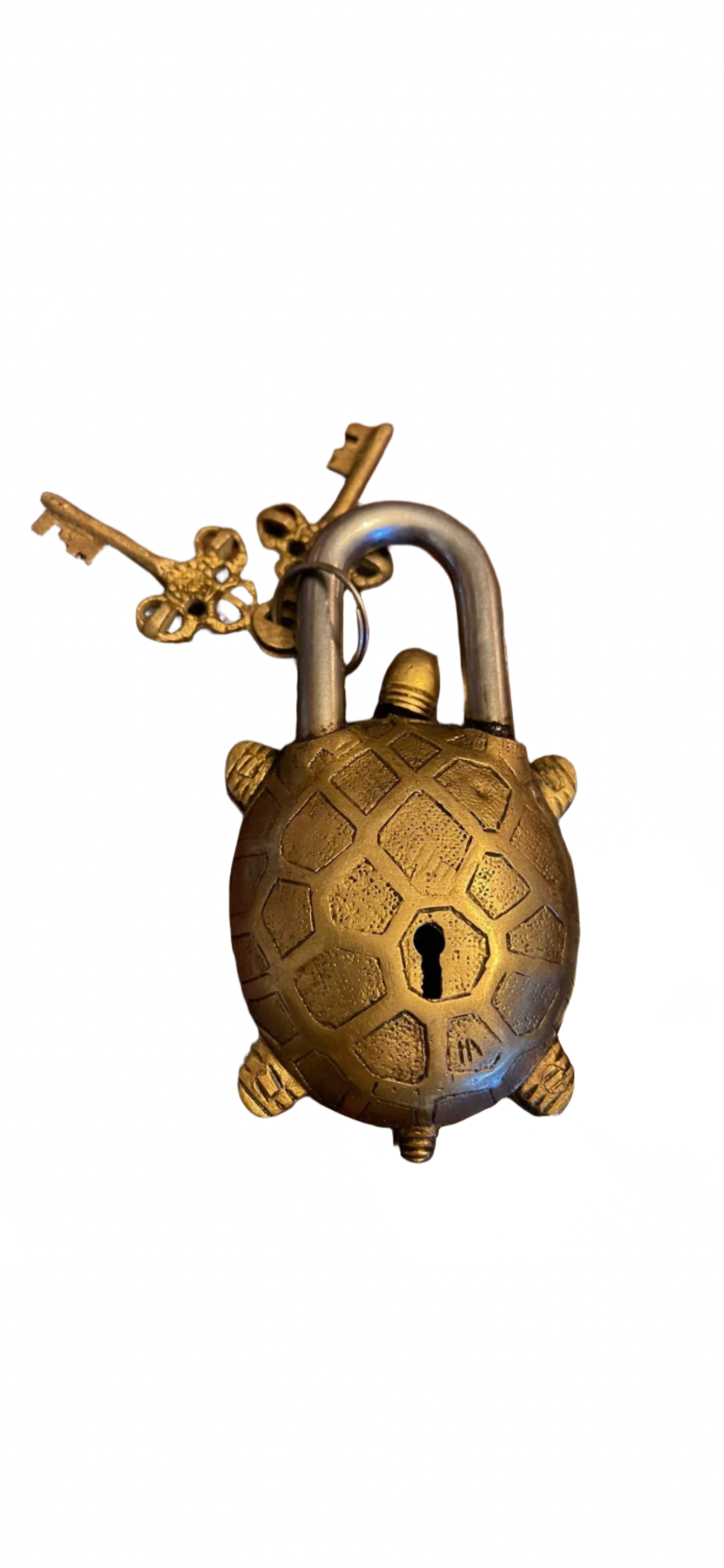 Brass turtle padlocks