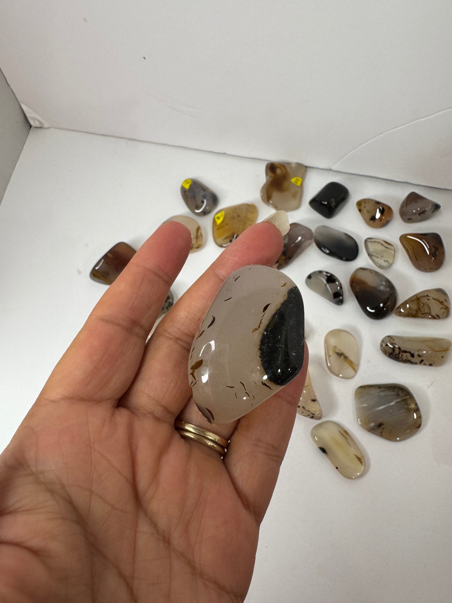 Montana agate